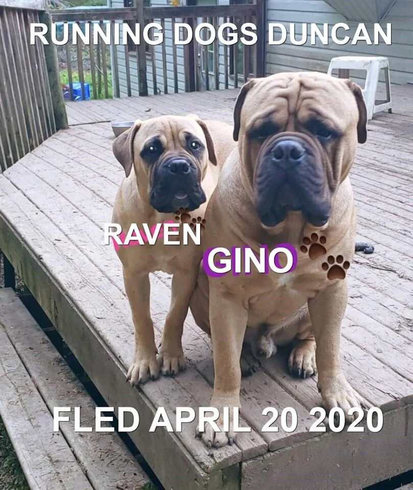 HAPPY TAILS - DUNCAN - APR. 20/20