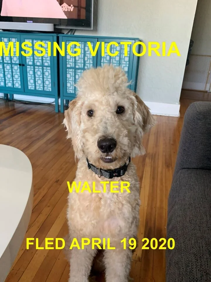 HAPPY TAILS - VICTORIA - APR. 19/20