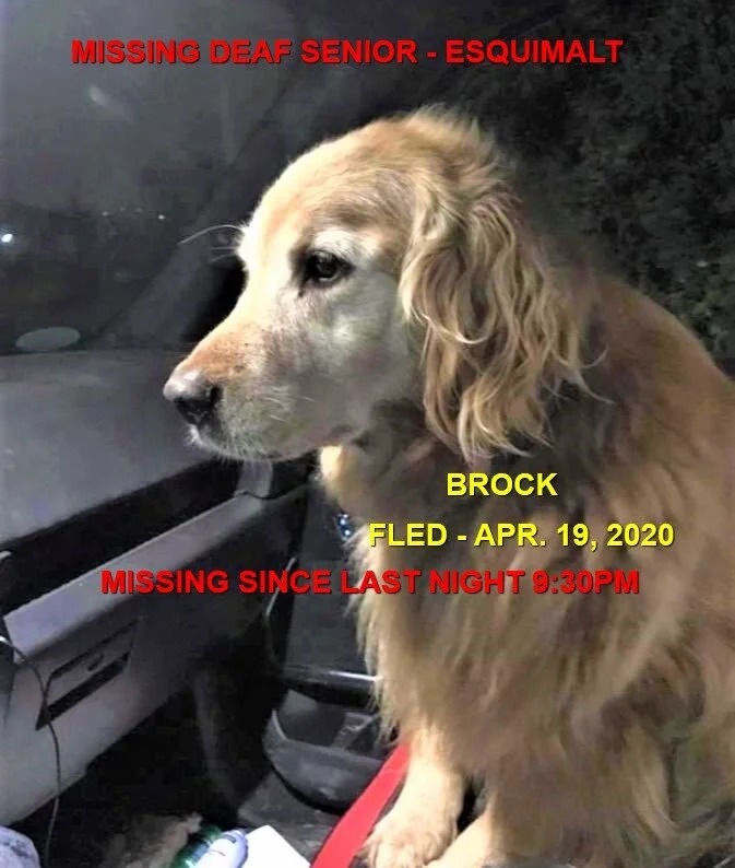 HAPPY TAILS - ESQUIMALT - APR. 19/20