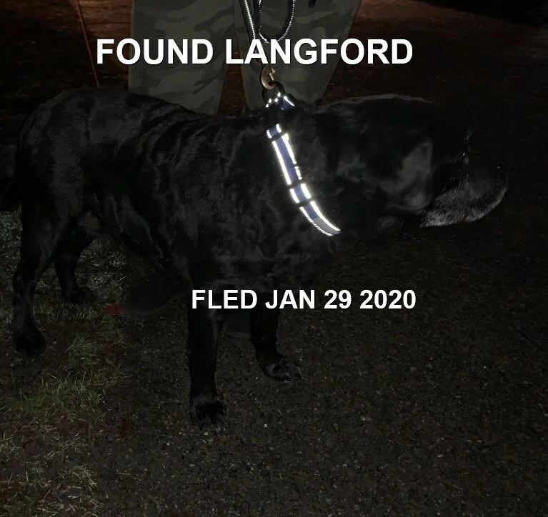 HAPPY TAILS - LANGFORD BC - JAN 29, 2020