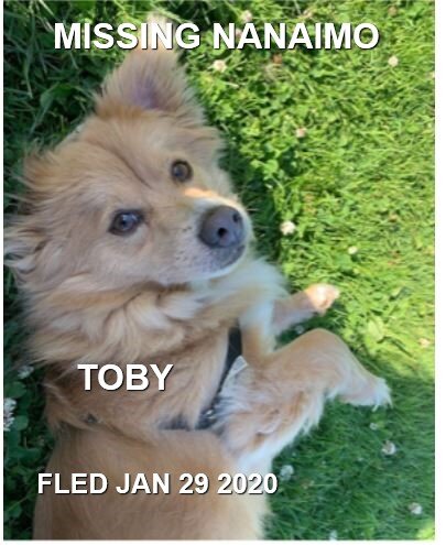 HAPPY TAILS - NANAIMO BC - JAN 29, 2020