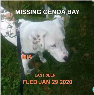 HAPPY TAILS - DUNCAN BC - JAN 29, 2020