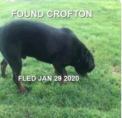 HAPPY TAILS - CROFTON BC - JAN 29, 2020