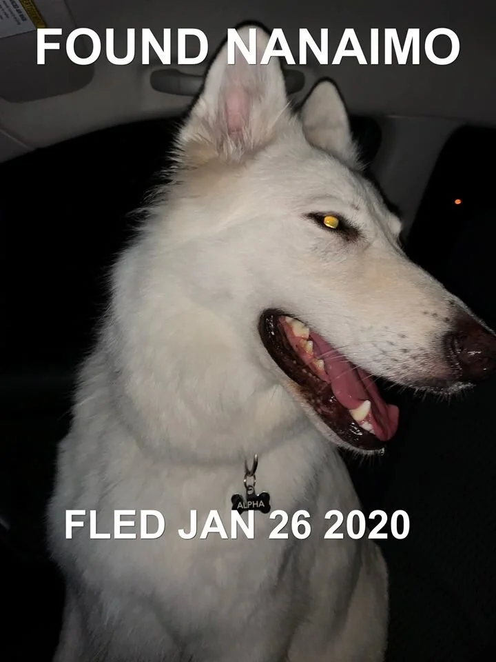 HAPPY TAILS - NANAIMO BC - JAN 26, 2020