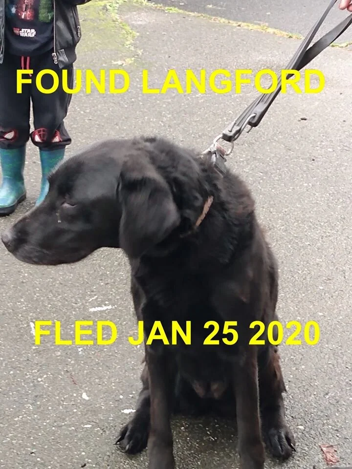 HAPPY TAILS - LANGFORD BC - JAN 25, 2020