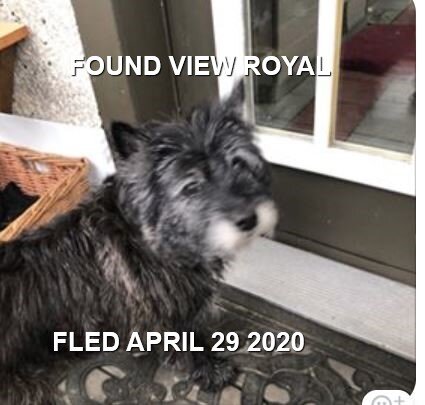 HAPPY ENDINGS - VIEW ROYAL BC - APR. 29, 2020