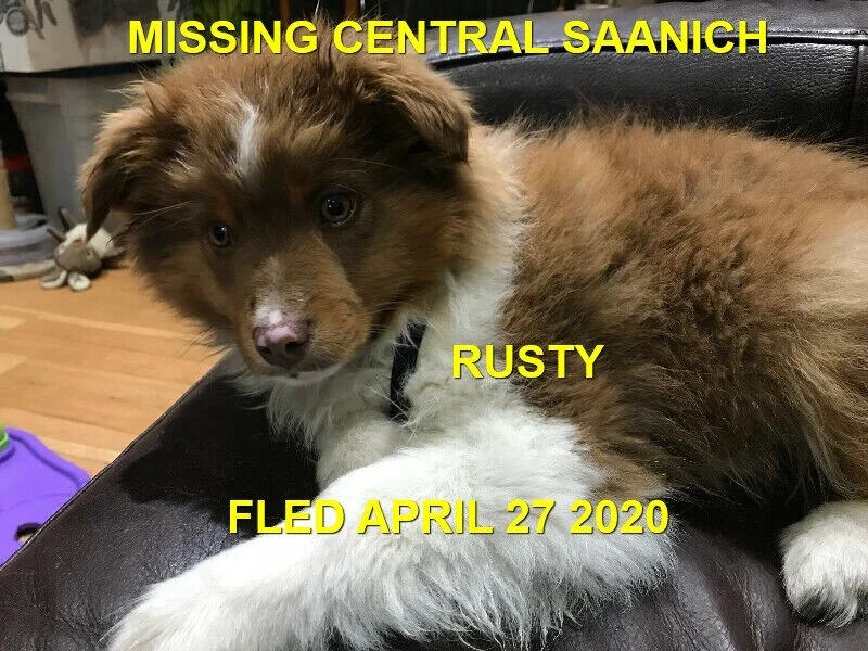 HAPPY TAILS - CENTRAL SAANICH BC - APR. 27, 2020