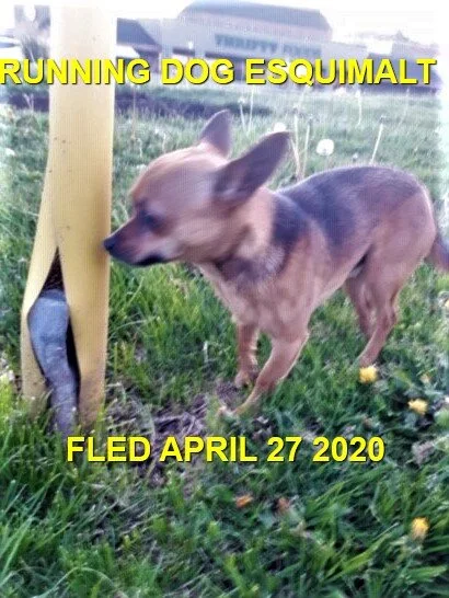 GONE HOME - ESQUIMALT BC - APR. 27, 2020