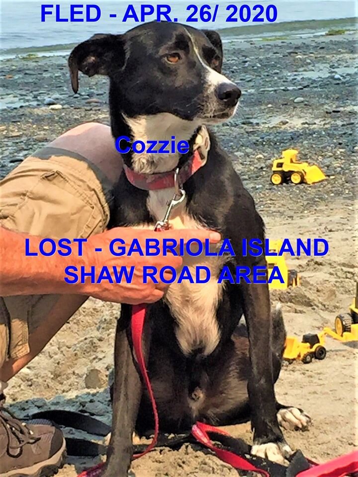 HAPPY TAILS - GABRIOLA ISLAND BC - APR. 26, 2020