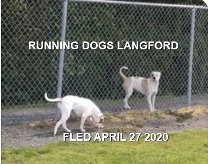 GONE HOME - LANGFORD BC - APR. 27, 2020