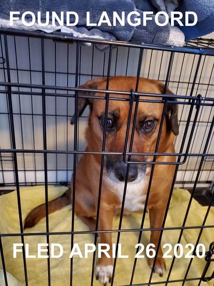 HAPPY ENDINGS - LANGFORD BC - APR. 26, 2020