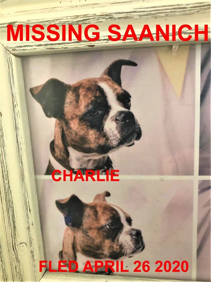 HAPPY ENDINGS - SAANICH BC - APR. 26, 2020