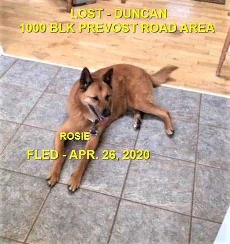 HAPPY ENDINGS - DUNCAN BC - APR. 25, 2020