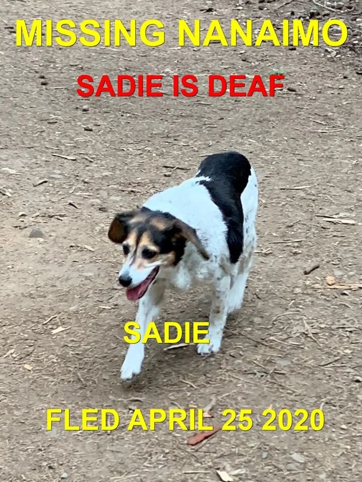 HAPPY ENDINGS - NANAIMO BC - APR. 25, 2020