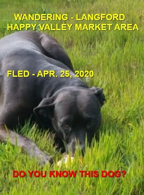 HAPPY ENDINGS - LANGFORD BC - APR. 25, 2020