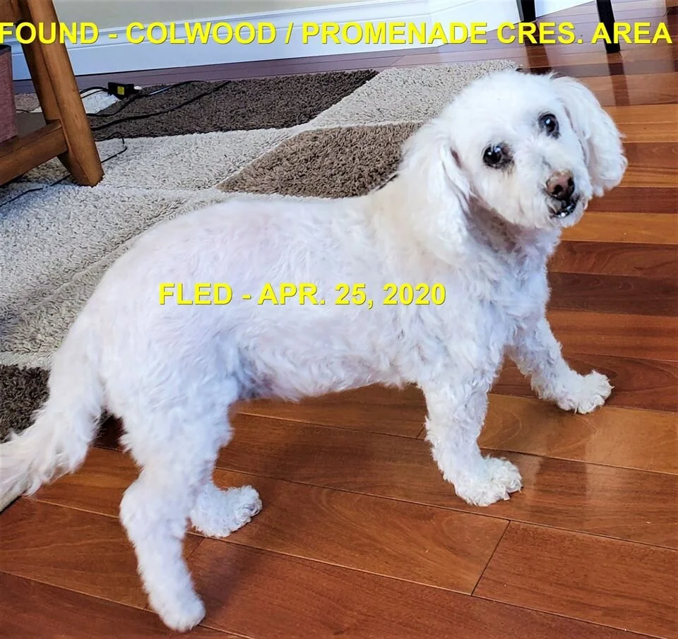 HAPPY ENDINGS - COLWOOD BC - APR. 25, 2020