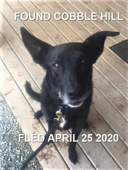 HAPPY ENDINGS - COBBLE HILL BC - APR. 25, 2020