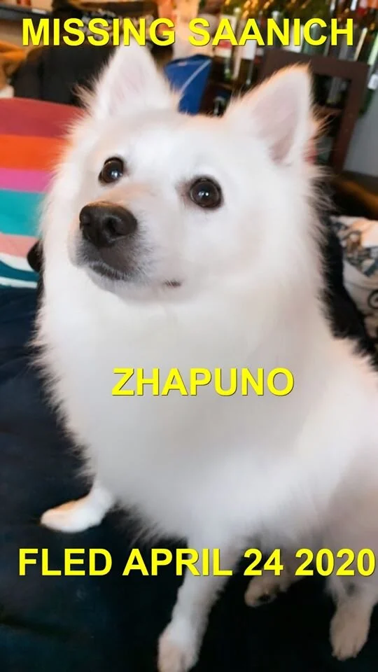 HAPPY ENDINGS - SAANICH BC - APR.24, 2020