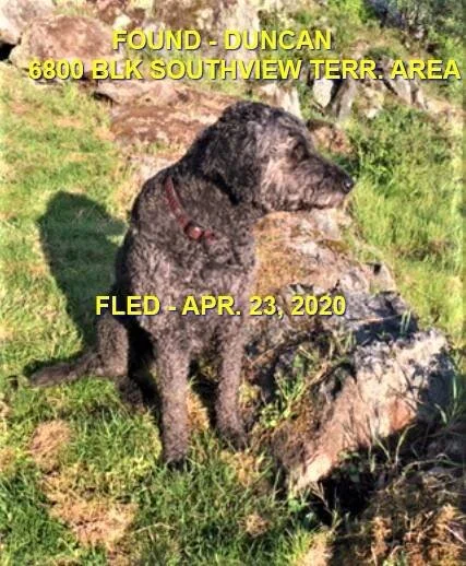 HAPPY ENDINGS - DUNCAN BC - APR. 23, 2020