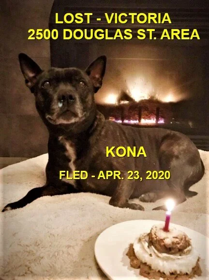 HAPPY ENDINGS - VICTORIA BC - APR. 23, 2020