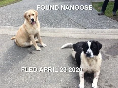 HAPPY ENDINGS - PARKSVILLE BC - APR 23, 2020