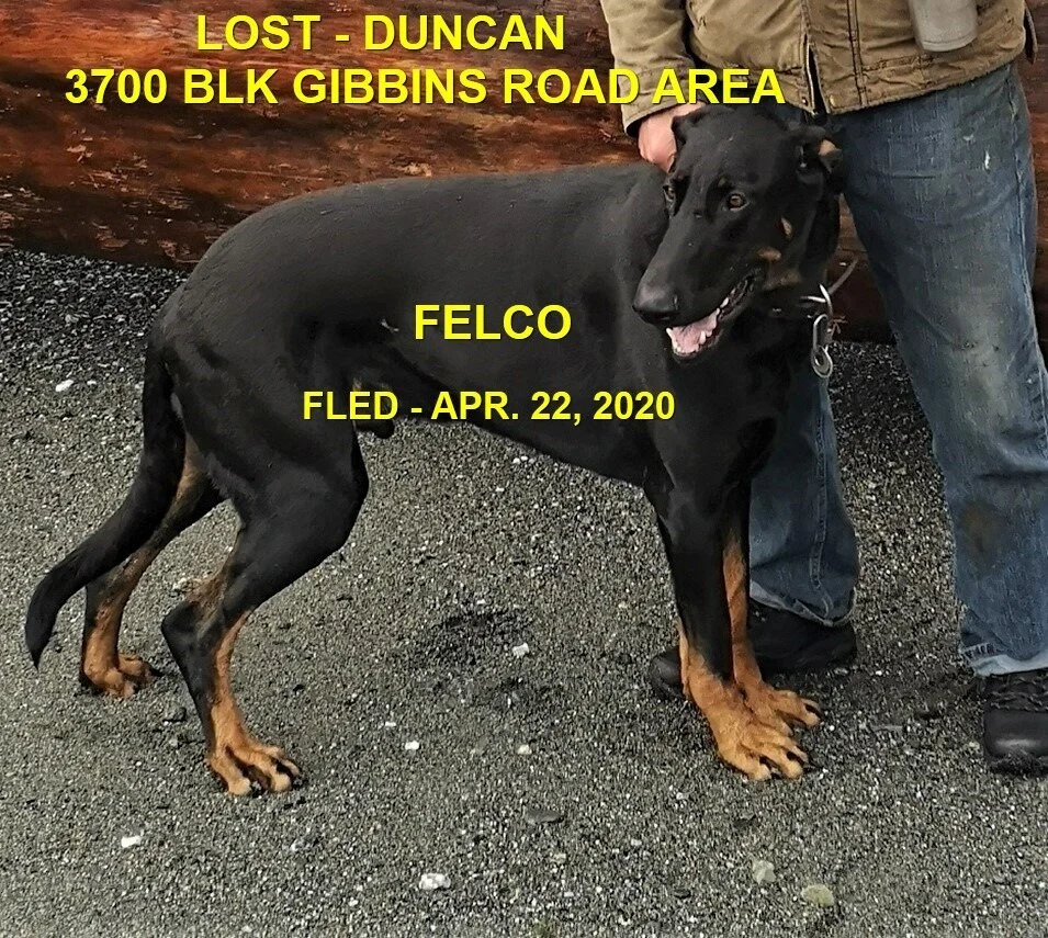 HAPPY ENDING - DUNCAN BC - APR. 21, 2020