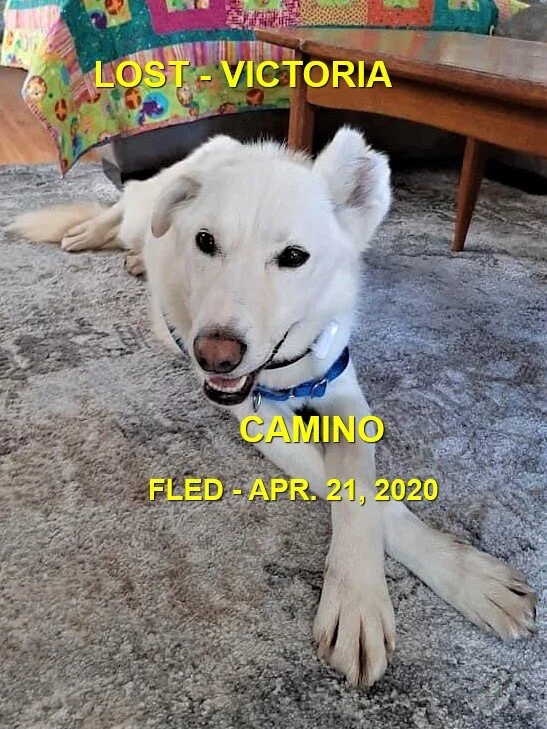 HAPPY ENDINGS - VICTORIA BC - APR. 21, 2020