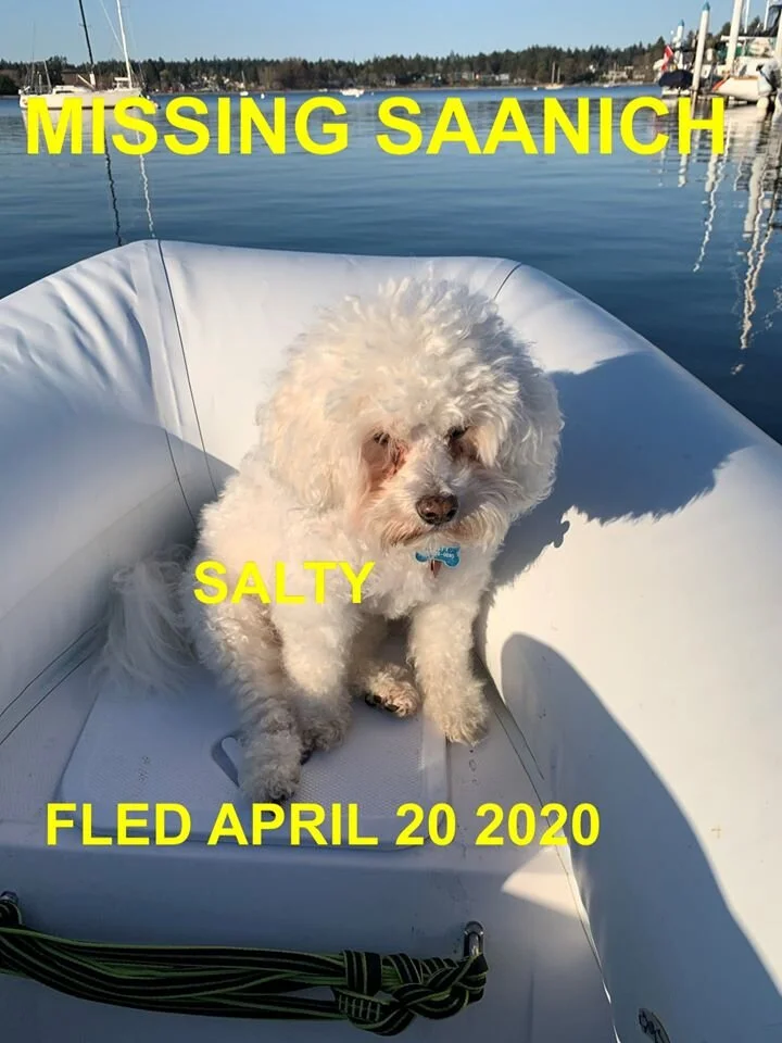 HAPPY ENDINGS - SAANICH BC - APR. 21, 2020