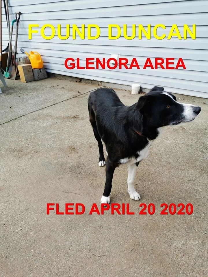 HAPPY ENDINGS - DUNCAN BC - APR 20, 2020