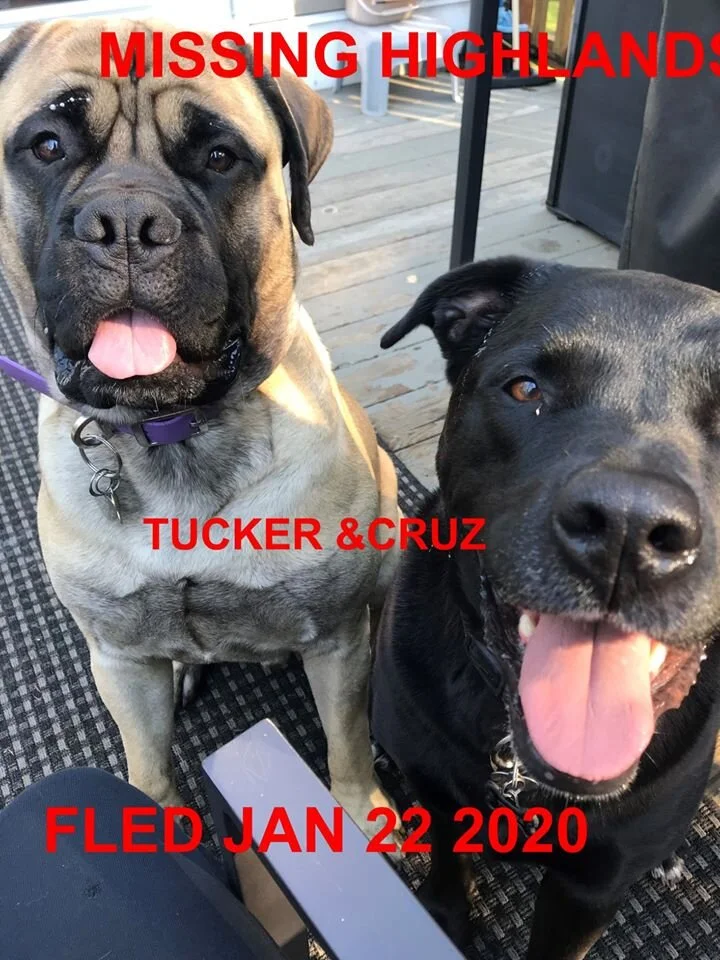 HAPPY ENDINGS - EAST HIGHLANDS BC - JAN. 13, 2020