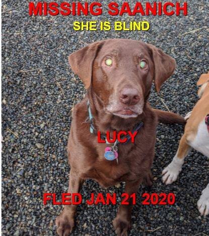 HAPPY ENDINGS - SAANICH BC - JAN 21, 2020