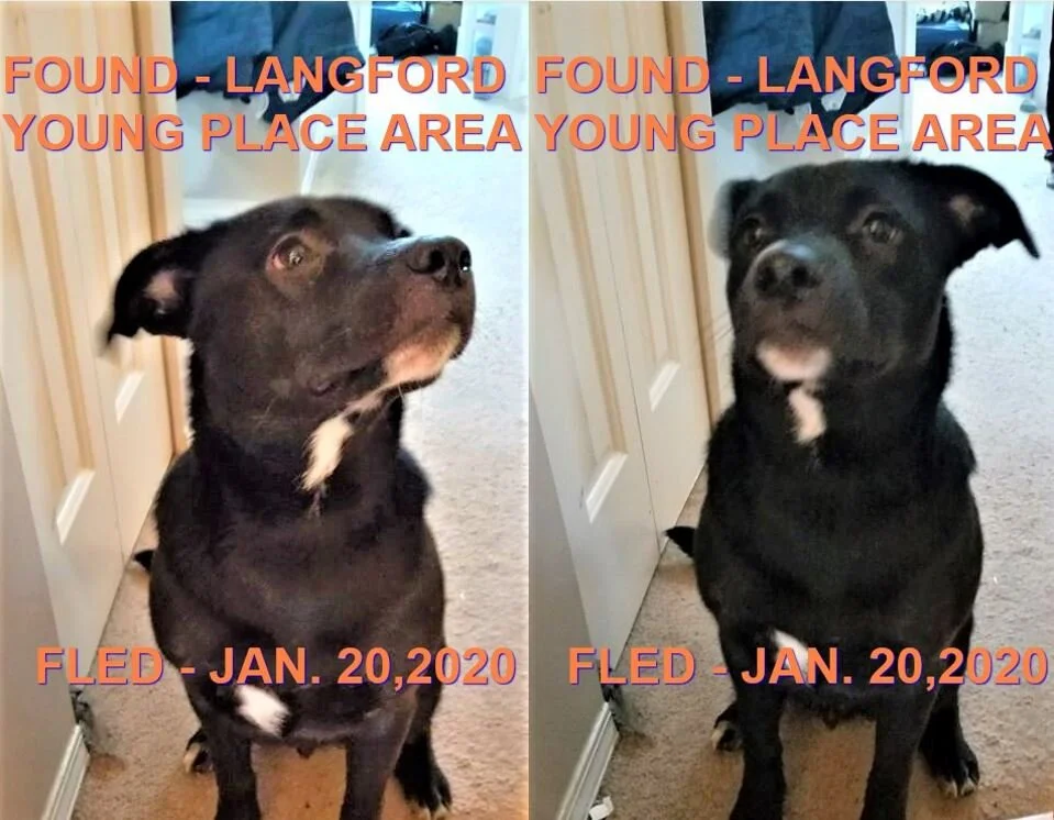 HAPPY ENDINGS - LANGFORD BC - JAN 20, 2020