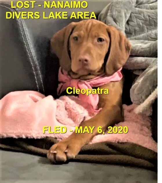 HAPPY ENDINGS - NANAIMO BC - MAY 8, 2020