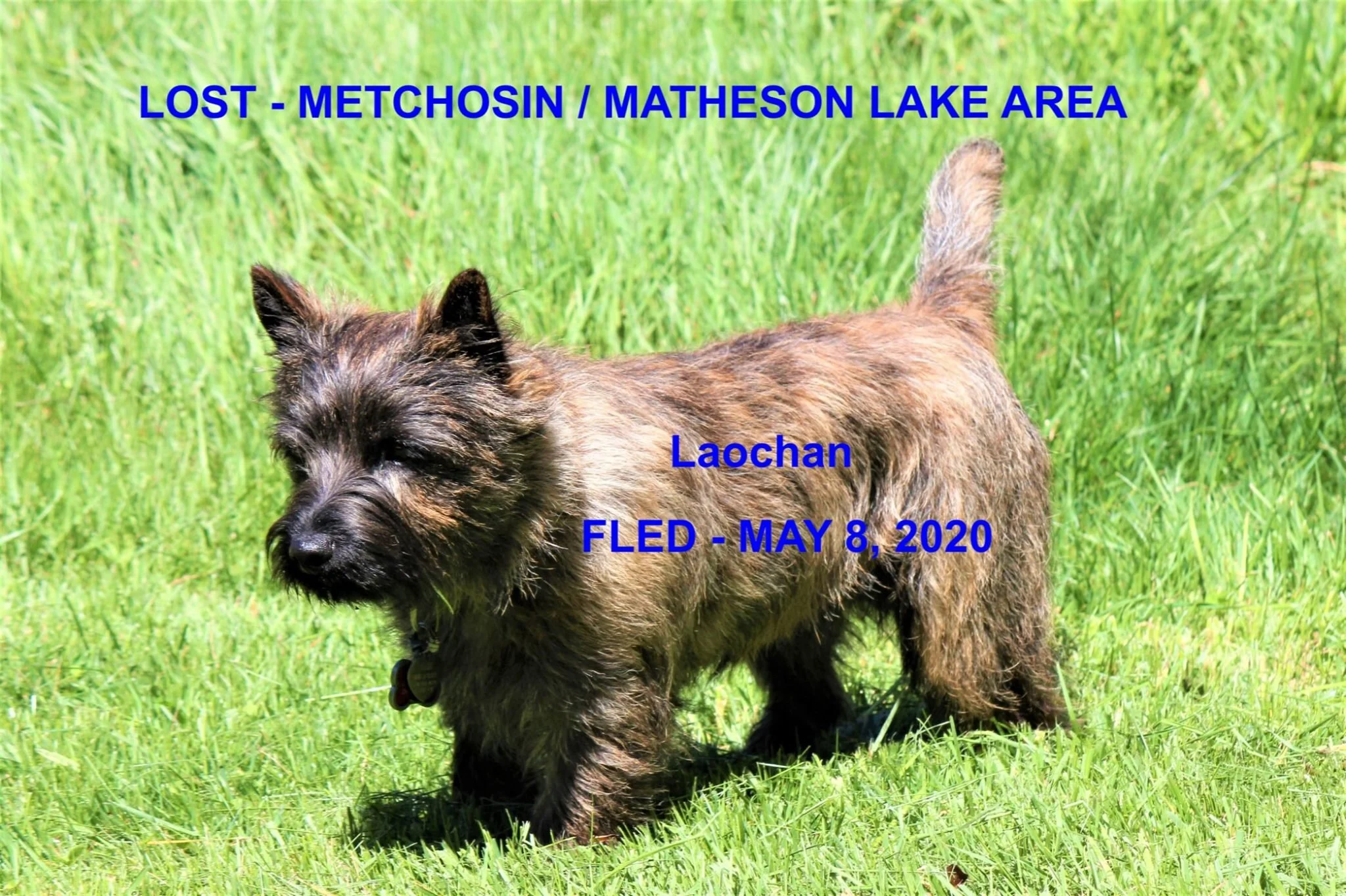 HAPPY ENDINGS - METCHOSIN BC - MAY 8, 2020