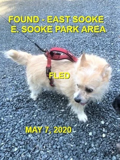 HAPPY ENDINGS - EAST SOOKE BC - MAY 7, 2020