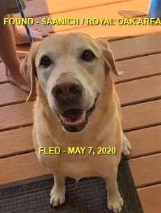 HAPPY ENDINGS - SAANICH BC - MAY 7, 2020