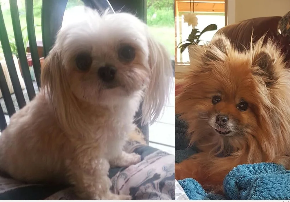 COURTESY POST - POSSIBLY STOLEN - WEST KOOTENAY- BURTON, BC - MAY 6, 2020