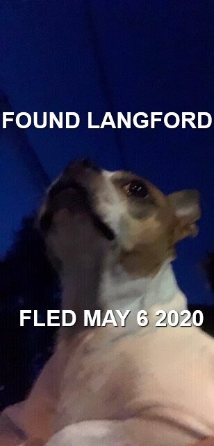 HAPPY ENDINGS - LANGFORD BC - MAY 6, 2020