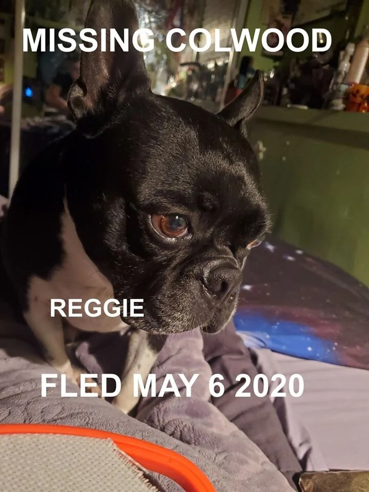 HAPPY ENDINGS - COLWOOD BC - MAY 6, 2020