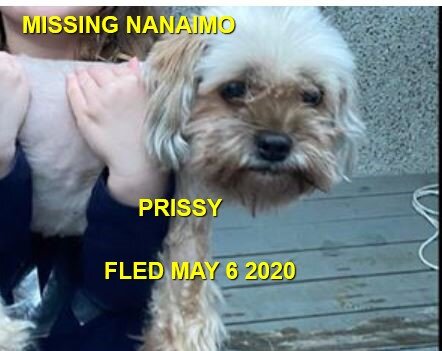 HAPPY ENDINGS - NANAIMO BC - MAY 6, 2020