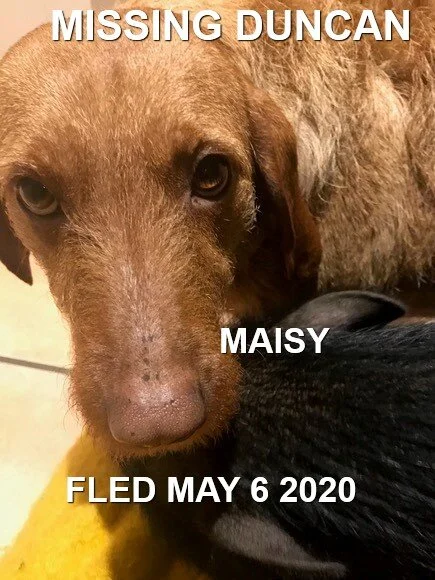 HAPPY ENDINGS - DUNCAN BC - MAY 6, 2020