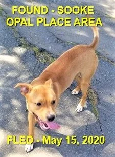 HAPPY ENDINGS - SOOKE BC - MAY 15, 2020