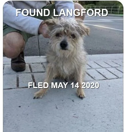 HAPPY ENDINGS - LANGFORD BC - MAY 14, 2020