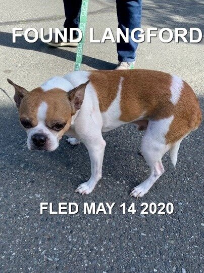 HAPPY ENDINGS - LANGFORD BC - MAY 14, 2020