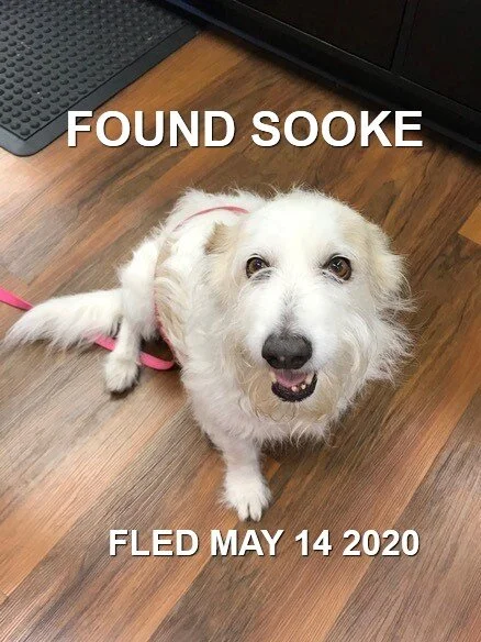 HAPPY ENDINGS - SOOKE BC - MAY 14, 2020