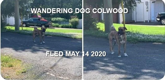 HAPPY ENDINGS - COLWOOD BC - MAY 14, 2020