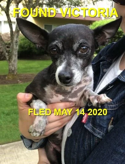 HAPPY ENDINGS - VICTORIA BC - MAY 14, 2020