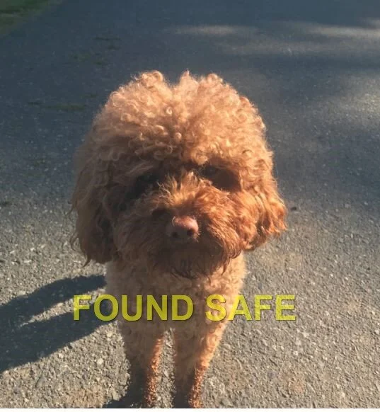 HAPPY ENDINGS - EAST SOOKE BC - MAY 12, 2020