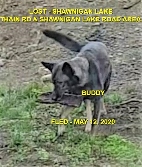 HAPPY ENDINGS - SHAWNIGAN LAKE BC - MAY 11, 2020