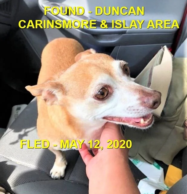 HAPPY ENDINGS - DUNCAN BC - MAY 12, 2020